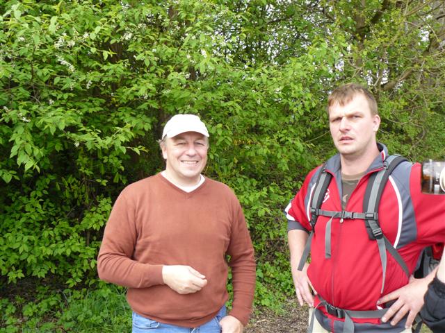 618x457 pixels (96K)